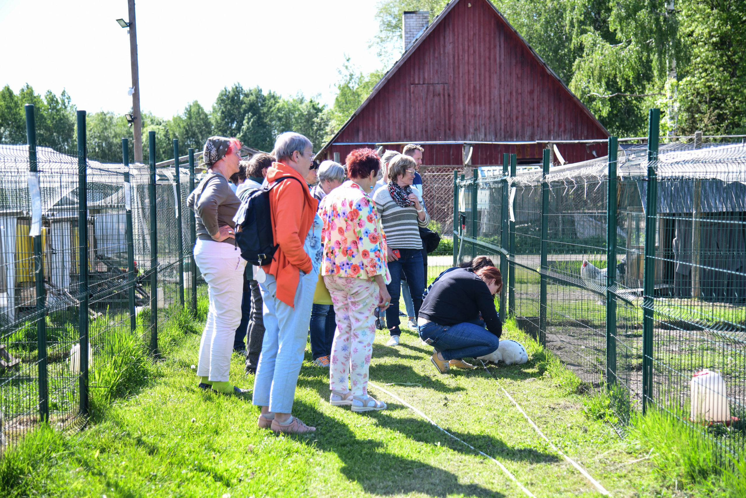 Küti-Uuetoa linnutalu