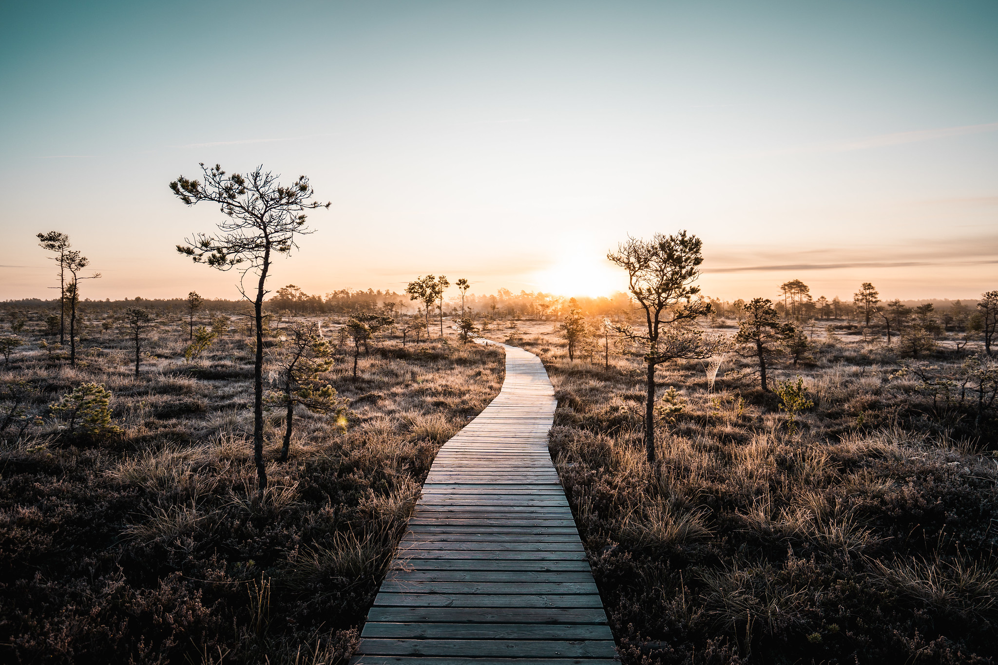 rannametsa-tolkuse-loodusopperada-016-visit-estonia
