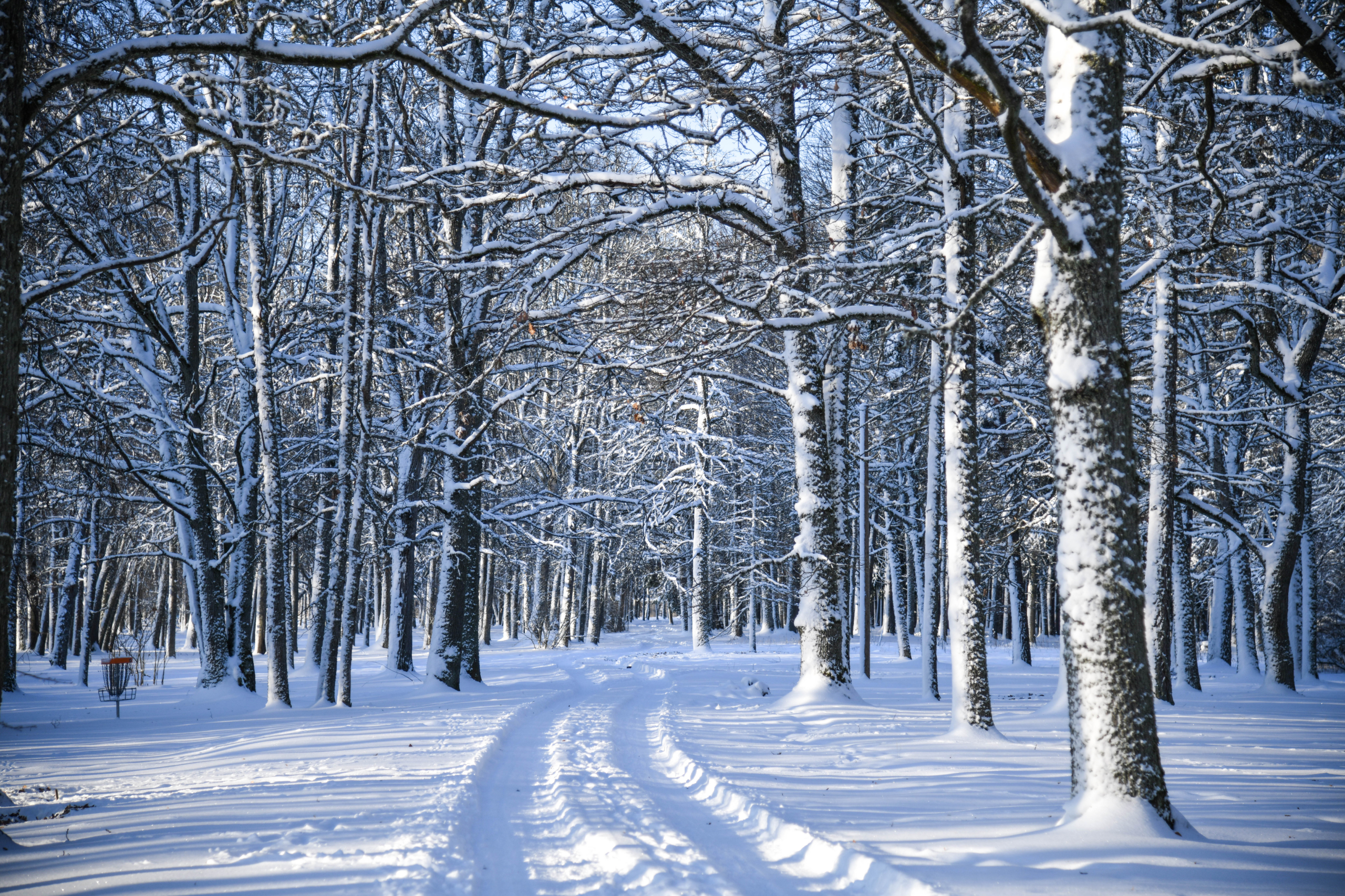 tostamaa-moisa-park-007-visit-estonia